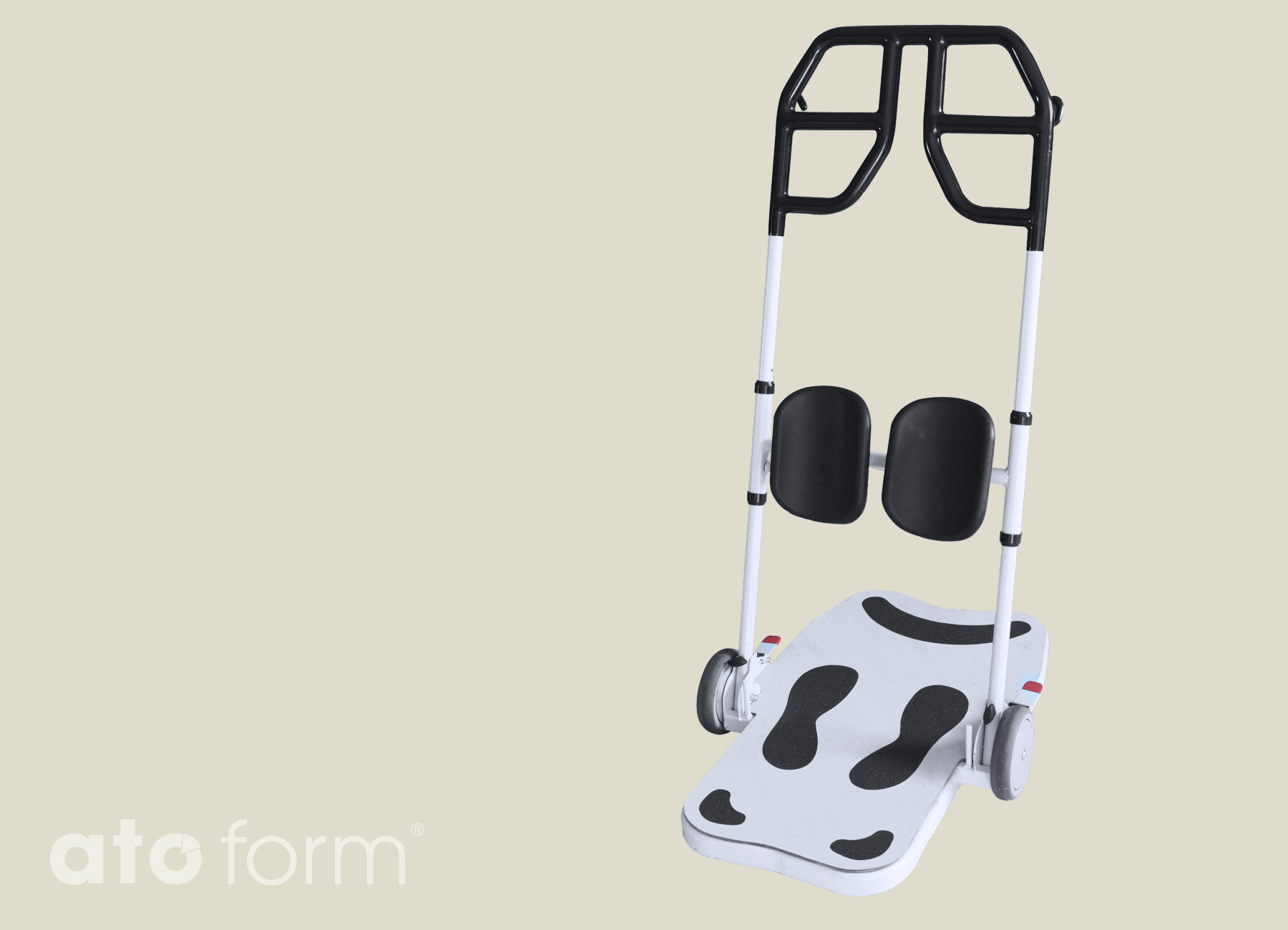 Aufsteh- und Umsetzhilfe Easy Move